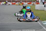 _DSC4352 copie